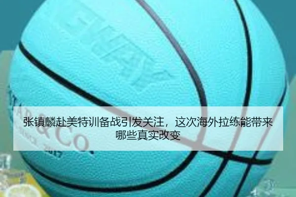 张镇麟赴美特训备战引发关注，这次海外拉练能带来哪些真实改变 - kaiyun